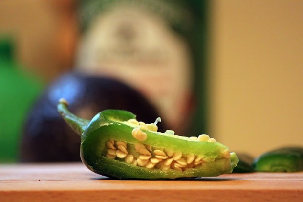 jalepeno seeds