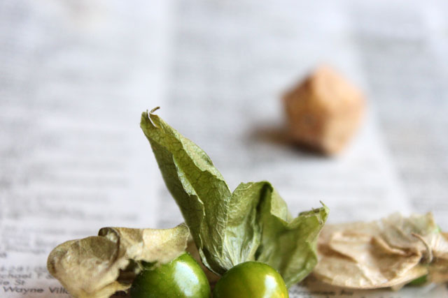 2 ground cherry 2 husk unripe
