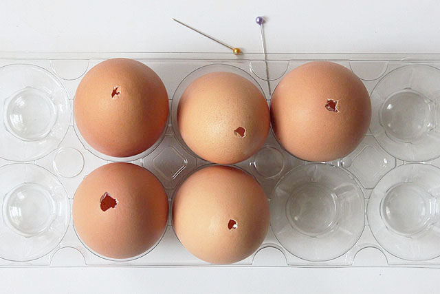 2 emptied eggs with pin holes