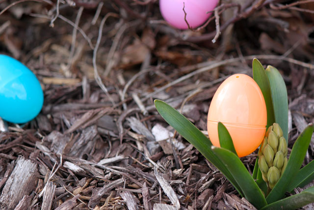 plastic eggs and spring blooms