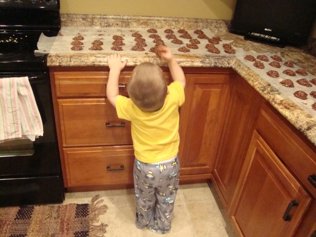 4.5 gavin cookie counter