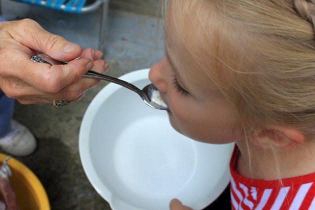 6 taste of homemade vanilla ice cream