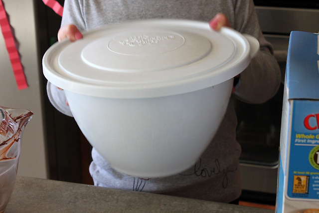 puppy love chow 046 small