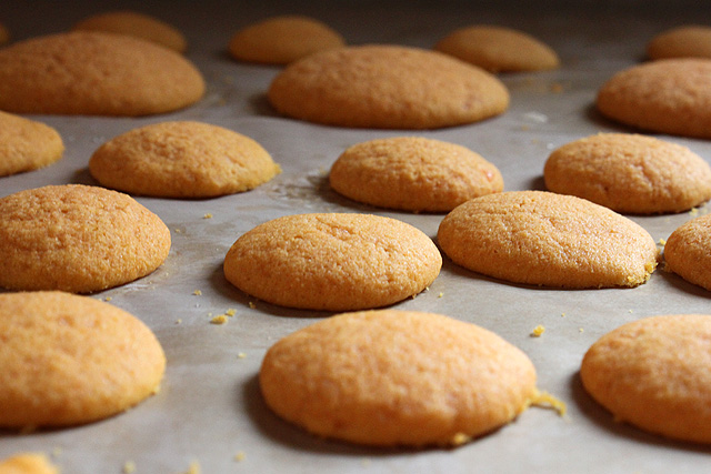 carrot cookies 062 cooling