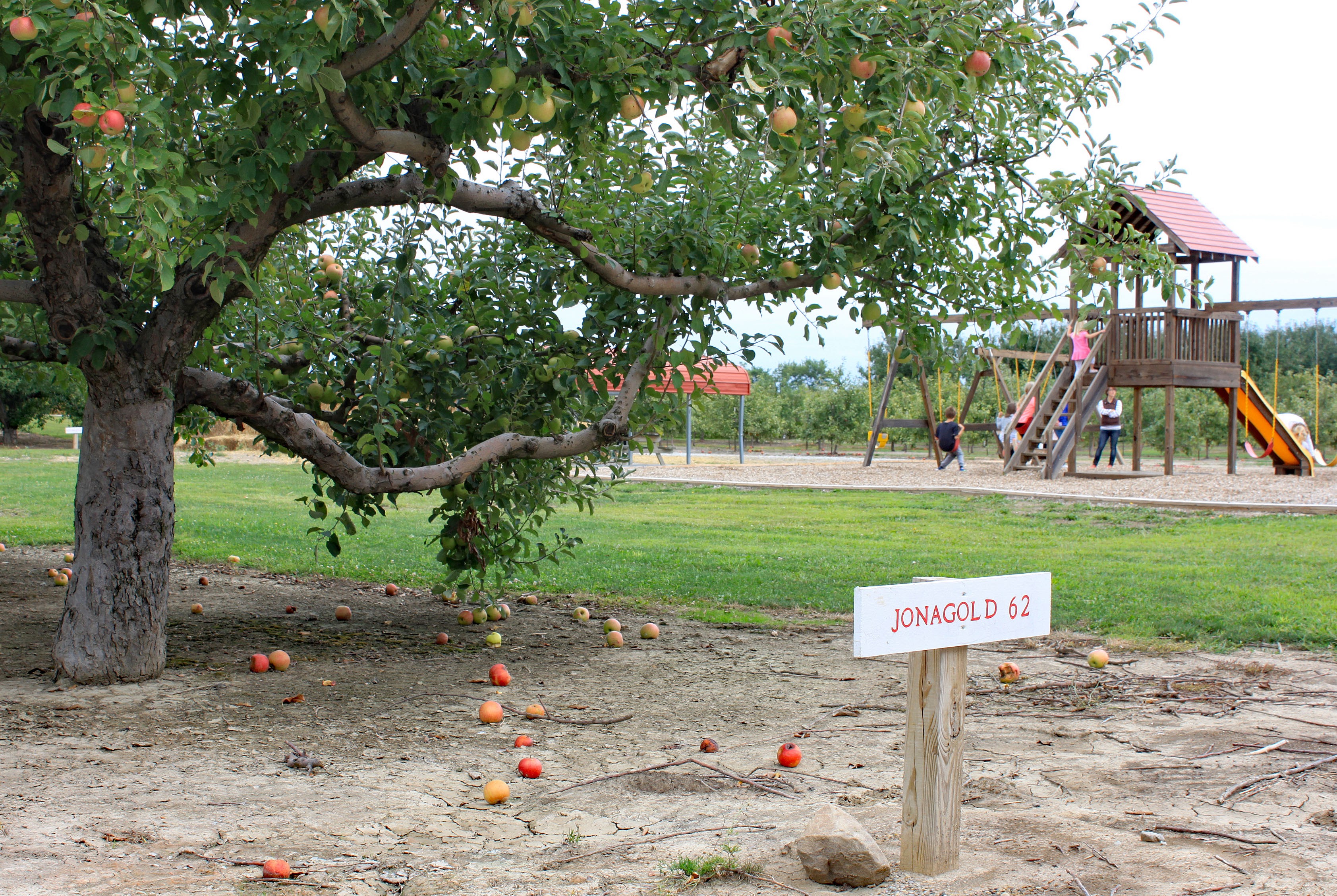 14 Pleasant View Orchard Playground
